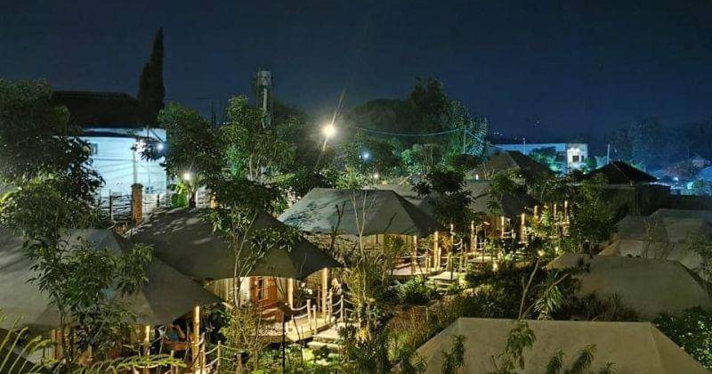 freepik/oaktree_glamping